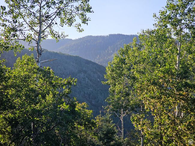 Mountain view with a forest view | Image 12