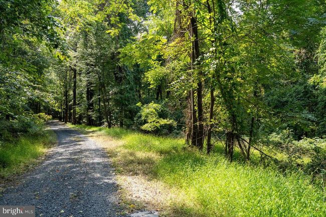 Lot 3 Price Ridge Rd, Home with 0 bedrooms, 0 bathrooms and null parking in STANLEY VA | Image 33