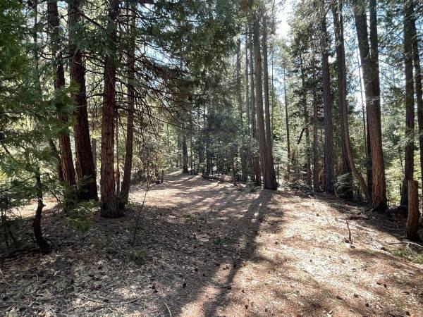 Land in Nevada City 4