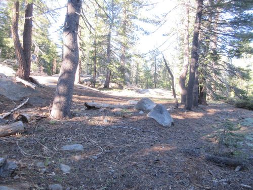 175 Silvertip Rd, Bear Valley, CA, 95223-9438 | Card Image