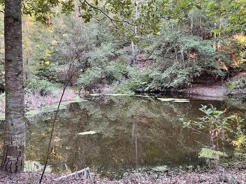 0 Love Creek Rd, Ben Lomond, CA, 95005 | Card Image