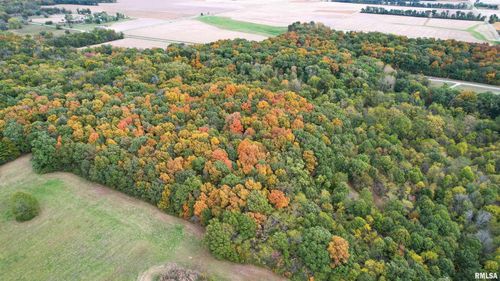 000 Old Bible Grove Rd, Louisville, IL, 62858 | Card Image