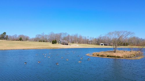 855 Carroll St S, Bruceton, TN, 38317-6509 | Card Image