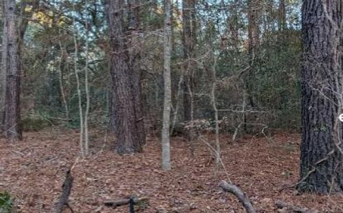 1981 Liberia Rd, Wadmalaw Island, SC, 29487-7187 | Card Image