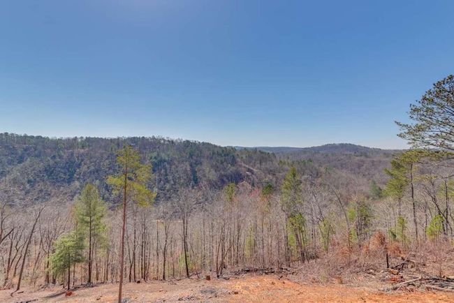 497 Jakes Landing Way S, Home with 3 bedrooms, 3 bathrooms and null parking in Ellijay GA | Image 51