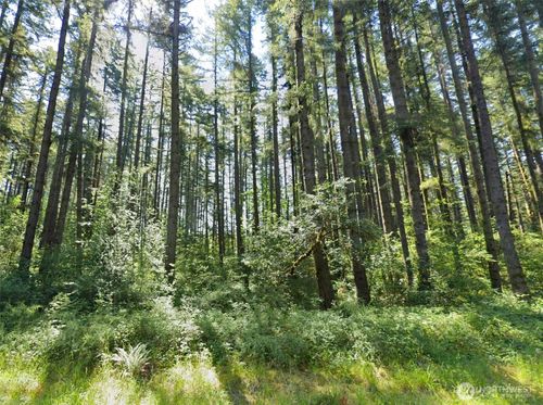 0 Summers Rd, Centralia, WA, 98531 | Card Image