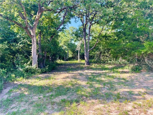 9264 Stetson Drive, Home with 0 bedrooms, 0 bathrooms and null parking in Normangee TX | Image 7