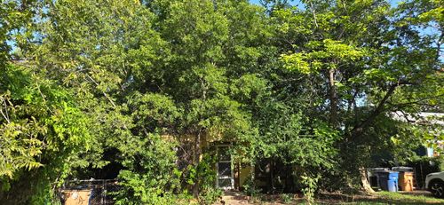 5309 Martin Avenue, Austin, TX, 78751 | Card Image
