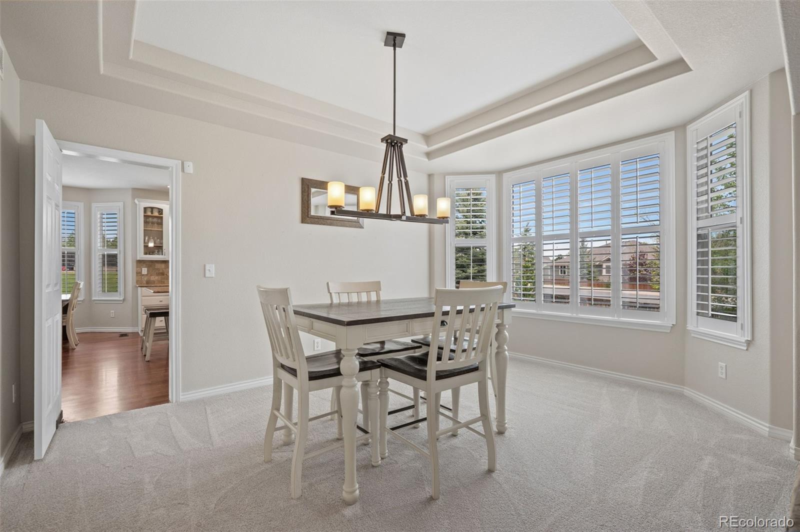 Residential in Castle Rock 5
