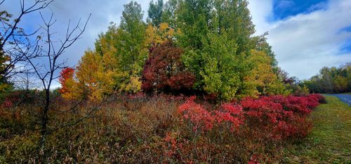 VL Lakeview Dr, New Era, MI, 49446 | Card Image