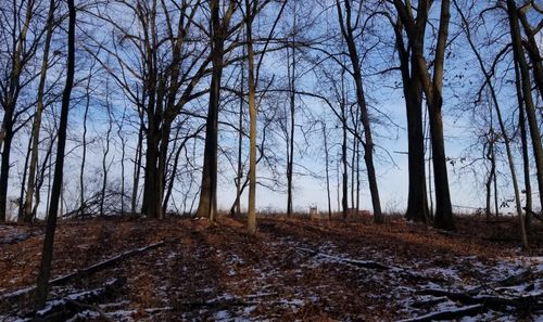 856 Greystone Dr, Chelsea, MI, 48118-8201 | Card Image