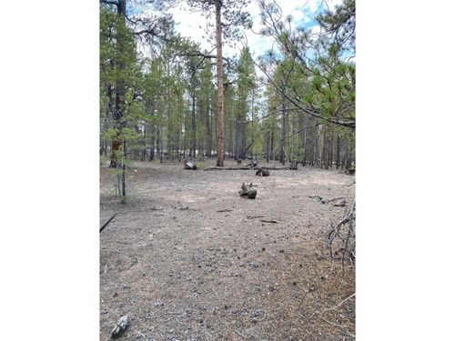 340 Peak View Dr, Leadville, CO, 80461-9247 | Card Image