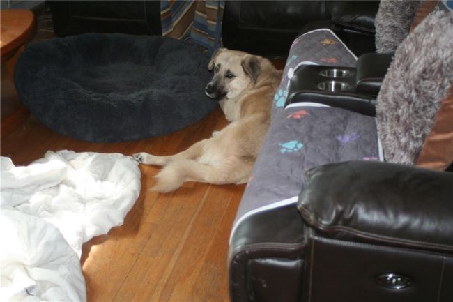 please excuse this photo. for some reason it would not delete. | Image 22