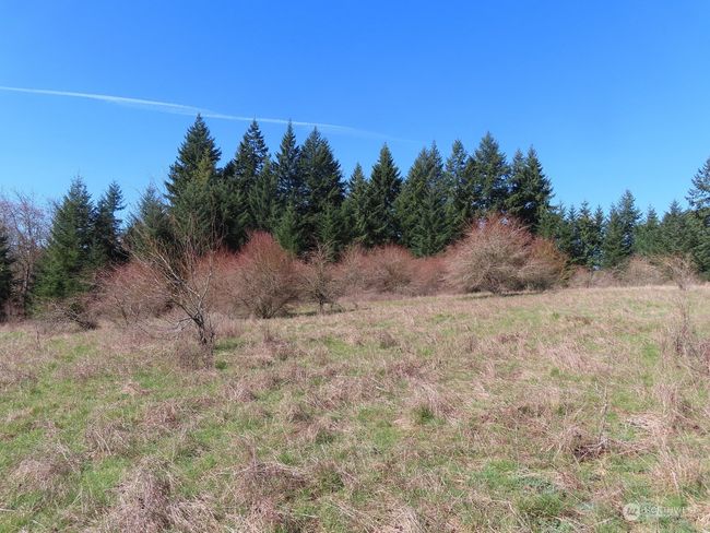 B - 107 Avery Rd W, Home with 0 bedrooms, 0 bathrooms and null parking in Napavine WA | Image 29