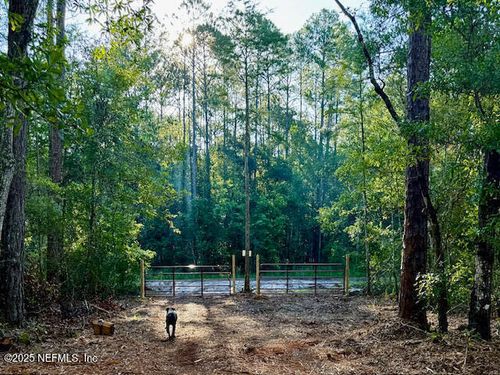 10535 Flikkema Ave, HASTINGS, FL, 32145-8892 | Card Image