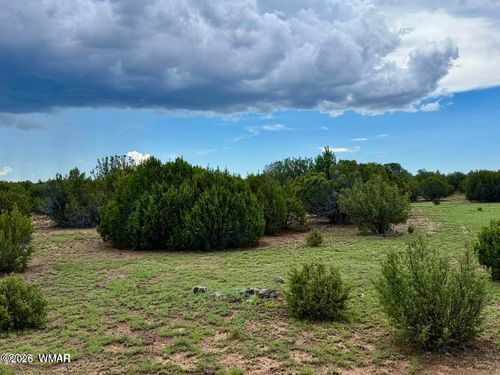 116 County Road 8127, Concho, AZ, 85924 | Card Image