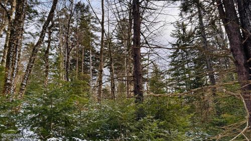 0 Spruce Dr, Hinsdale, MA, 01235 | Card Image