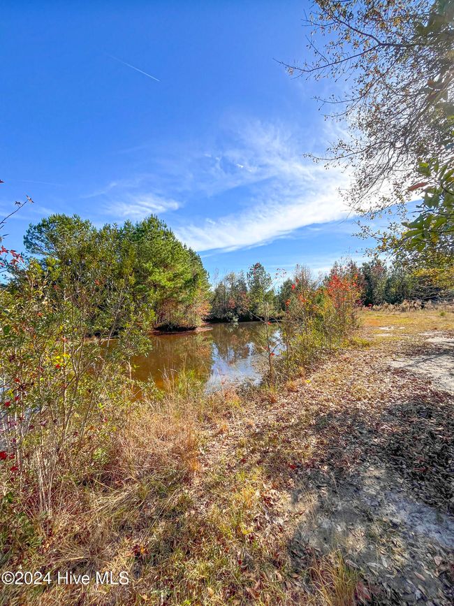 4780 S Us 117 Hwy, Home with 0 bedrooms, 0 bathrooms and null parking in Teachey NC | Image 17