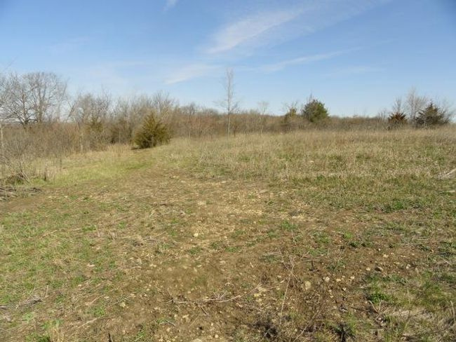 10.45 Acres Ringhand Rd, Home with 0 bedrooms, 0 bathrooms and null parking in SYLVESTER WI | Image 20