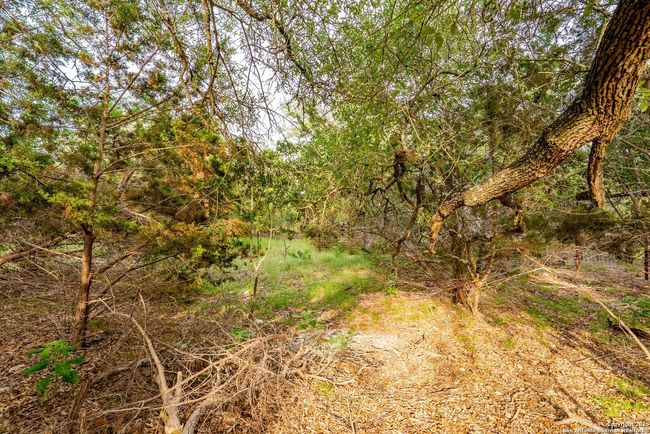 109 Twin Terrace Way, House other with 4 bedrooms, 4 bathrooms and null parking in Spring Branch TX | Image 57