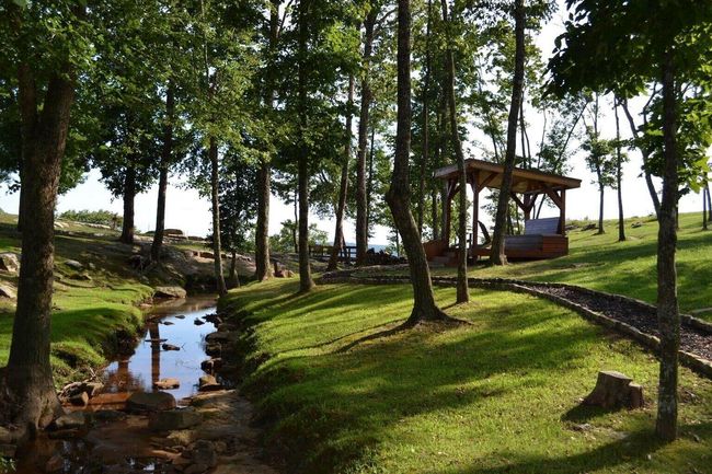 80 High Point Ln, Home with 0 bedrooms, 0 bathrooms and null parking in Jasper TN | Image 94
