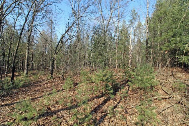 7750 Pine Rd, House other with 3 bedrooms, 2 bathrooms and null parking in ARENA WI | Image 53
