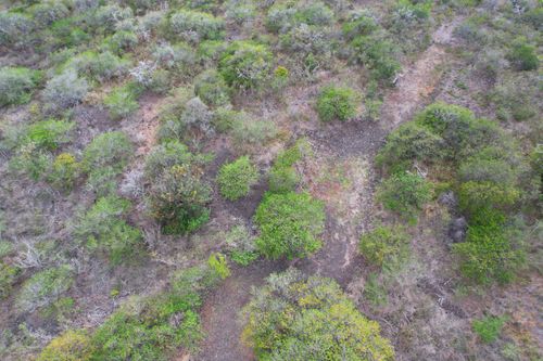 92-8415 King Kamehameha Blvd, OCEAN VIEW, HI, 96737 | Card Image