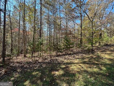 LOT 220 Lands End Trail, Home with 0 bedrooms, 0 bathrooms and null parking in Cleveland GA | Image 2