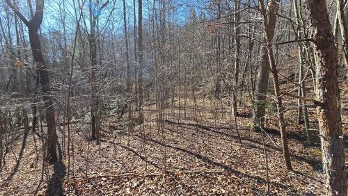 Lt 12 Laurel Dr, Young Harris, GA, 30582 | Card Image