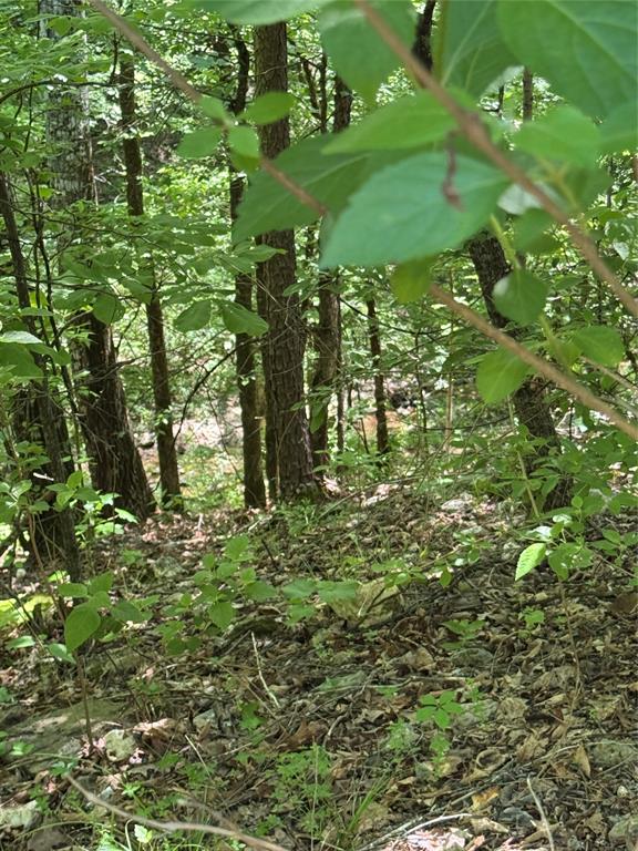 Land in Broken Bow