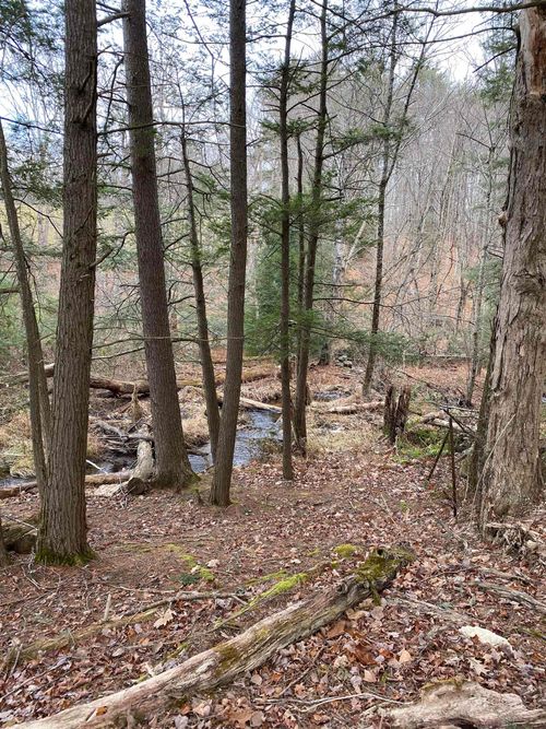 0 Echo Valley Farm Road, Epsom, NH, 03234 | Card Image