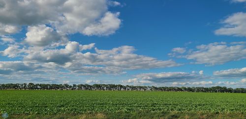 1702 110th St, Wolverton, MN, 56594 | Card Image