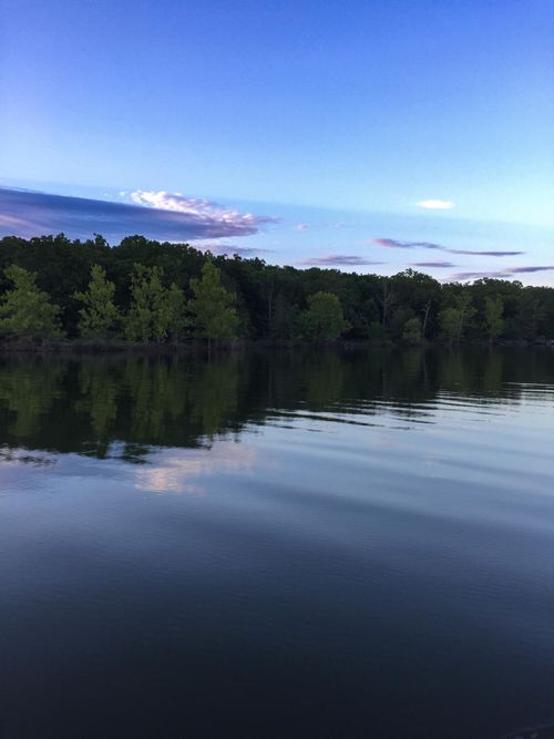 Tbd Lost Acres Blvd, Lampe, MO, 65681 | Card Image