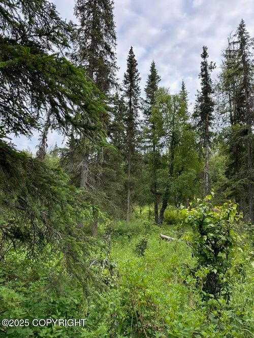 000 Cassidy Dr, Kasilof, AK, 99610 | Card Image