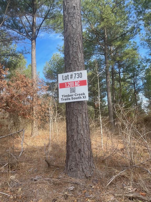 Land in Broken Bow