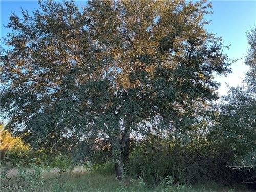 5801 4th Rd, Labelle, FL, 33935 | Card Image