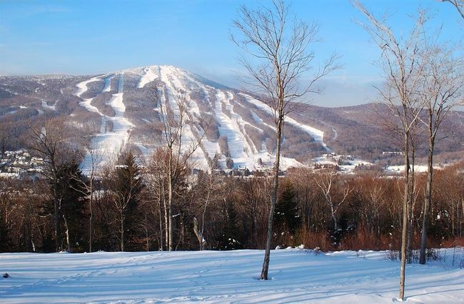 F - 11F Snow Tree Ln, Condo with 1 bedrooms, 2 bathrooms and null parking in West Dover VT | Image 39