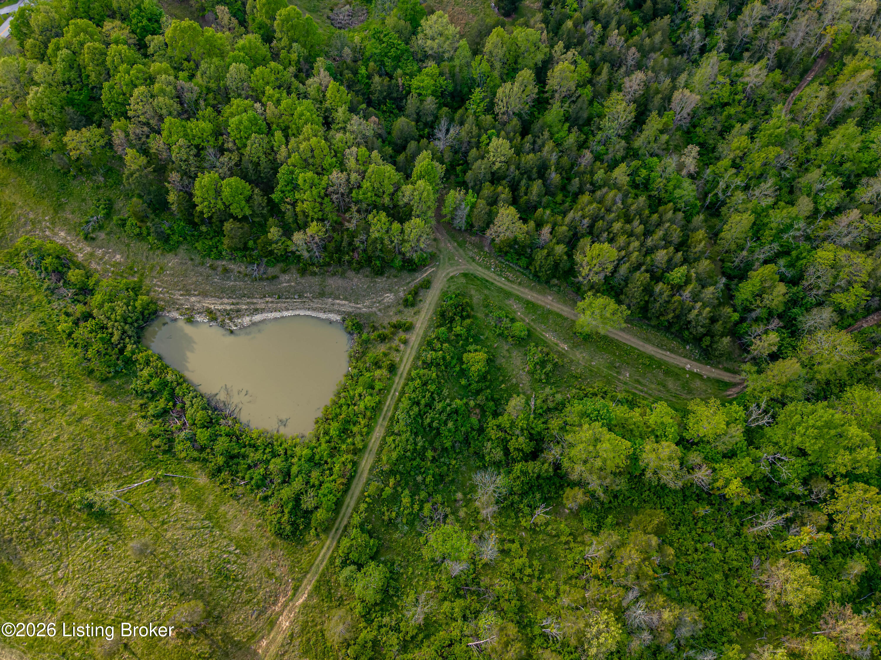 Land in Frankfort 2
