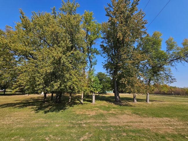 20021 Jet Ave, House other with 3 bedrooms, 2 bathrooms and null parking in Silver Lake MN | Image 23