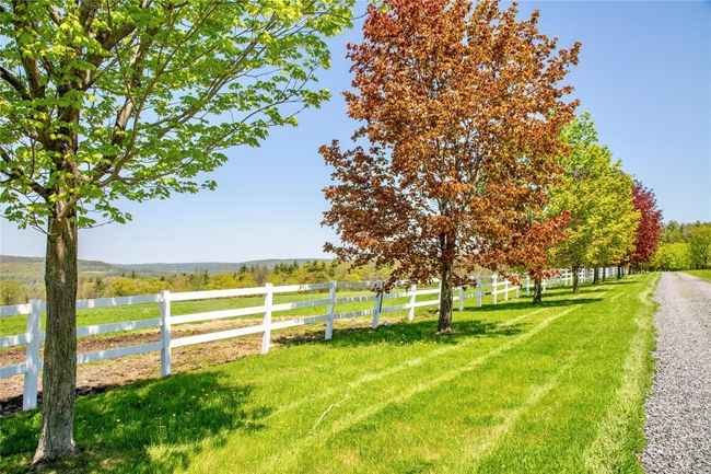 View of yard featuring a view of rural / pastoral area | Image 16