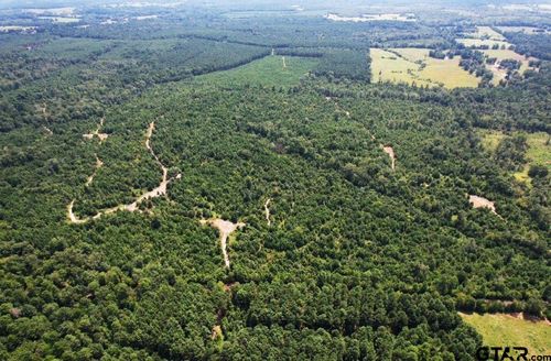 TBD County Road 3163 S, Laneville, TX, 75667 | Card Image