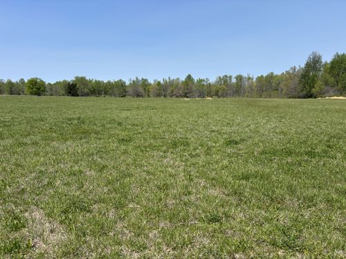 0 Hollow Springs Road, Bradyville, TN, 37026 | Card Image
