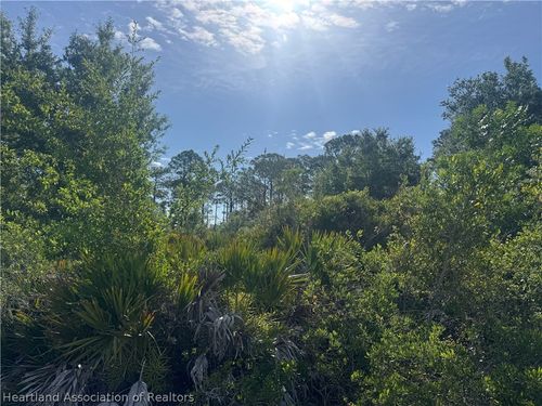 357 Durham Avenue, Lake Placid, FL, 33852 | Card Image