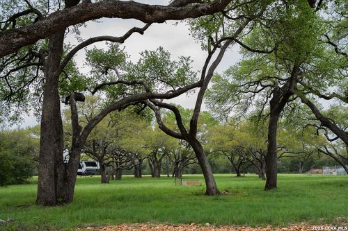 426 Mill Run, New Braunfels, TX, 78132-3388 | Card Image