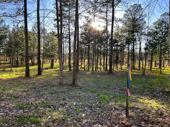 4 Hiwassee Rd, Home with 0 bedrooms, 0 bathrooms and null parking in Calhoun TN | Image 16