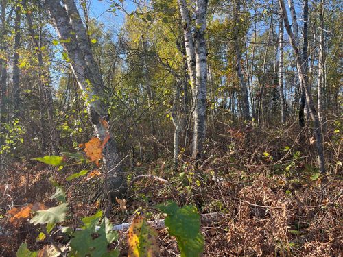 2 Oak Leaf Rd, Kerrick, MN, 55756 | Card Image