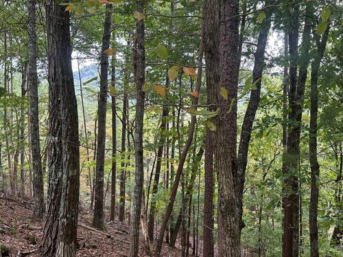 Lot A28 Laurel Ridge Dr, Ellijay, GA, 30536 | Card Image