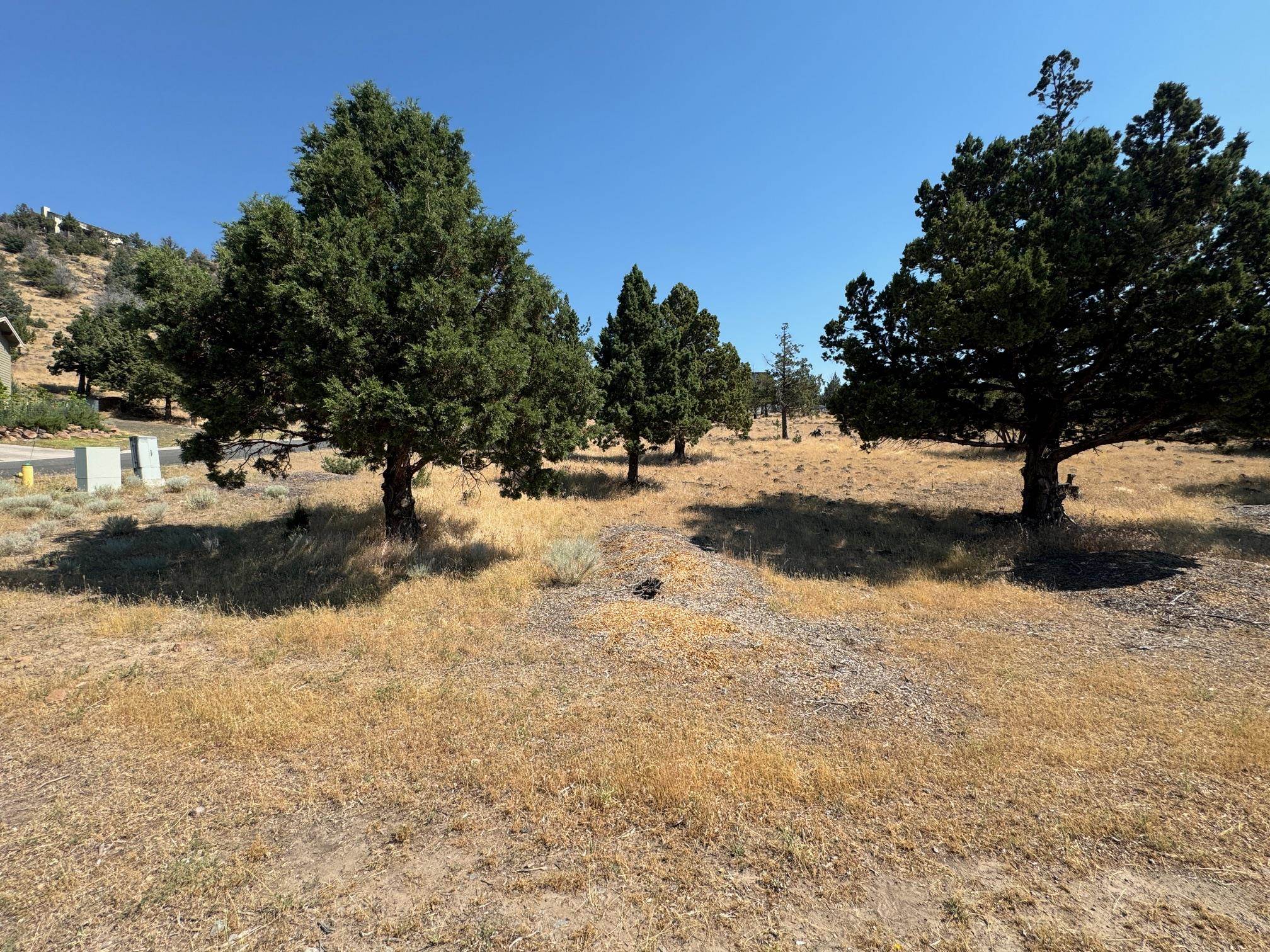 Land in Weed