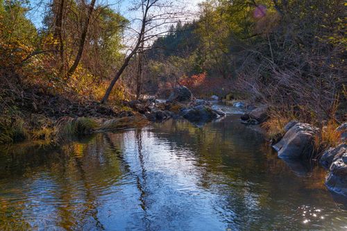 15747 Frenchtown Rd, Brownsville, CA, 95919-9717 | Card Image