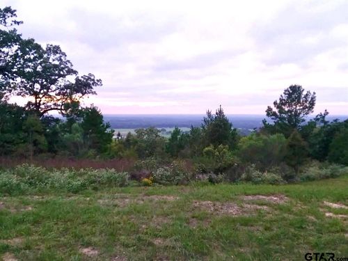 Lot 31 Acr 453, Montalba, TX, 75853 | Card Image